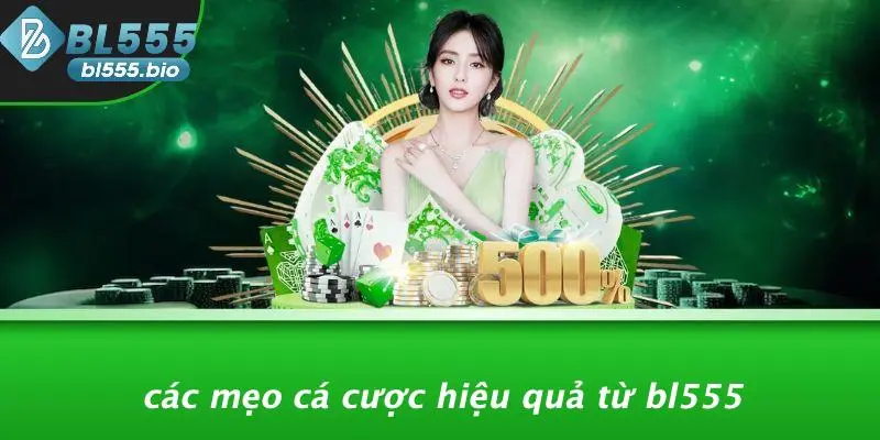 Các Mẹo Cá Cược Hiệu Quả Từ BL555