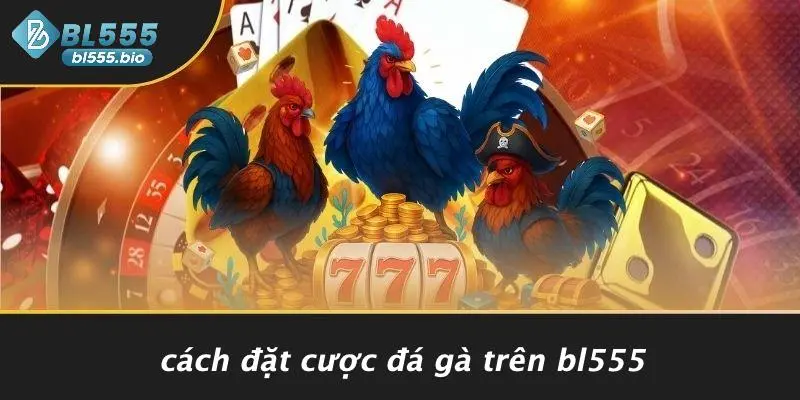 Cách Đặt Cược Đá Gà Trên BL555