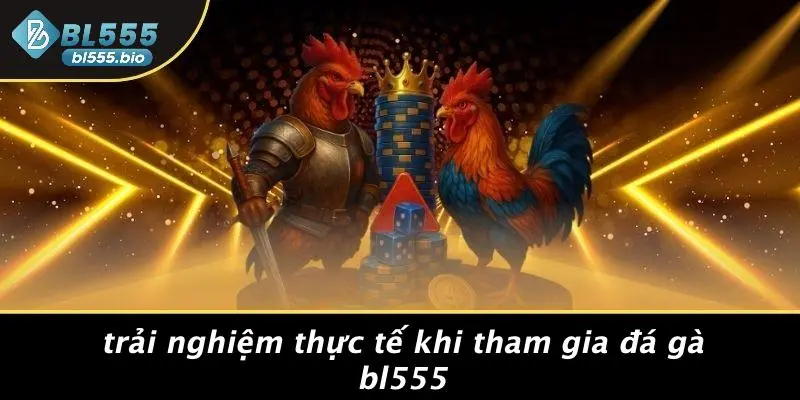 Trải Nghiệm Thực Tế Khi Tham Gia Đá Gà BL555